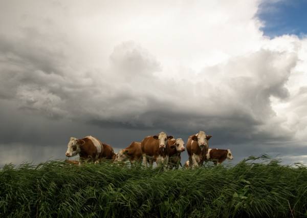 Photograph Gert Van Den Bosch Showers Ahead on One Eyeland